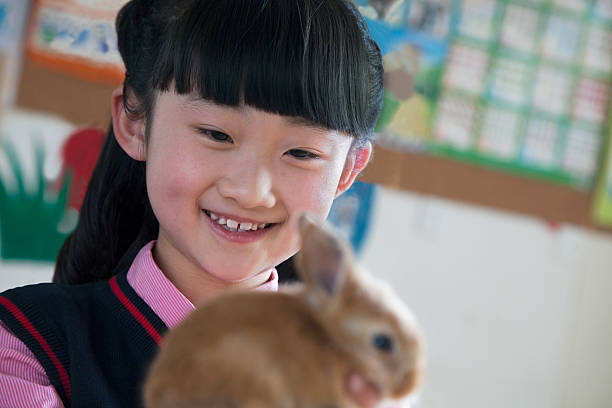istock Schoolgirl holding pet rabbit in classroom 458848295