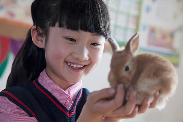 istock Schoolgirl holding pet rabbit in classroom 458848301