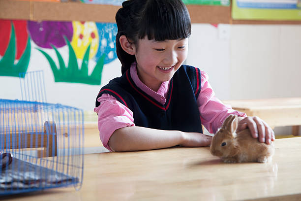 A schoolgirl petting a rabbit on a desk