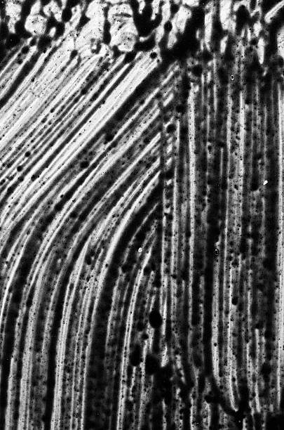 istock black and white watercolor 458849187