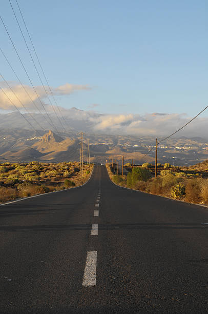 istock Asphalt Road in the Desert 458849597