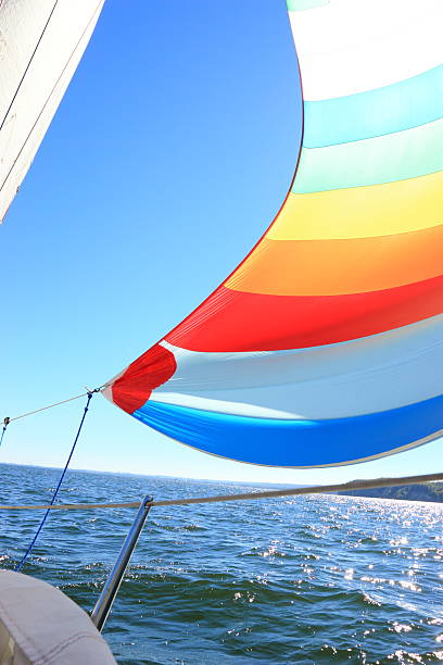 istock The wind has filled colorful spinnaker sail 458851001