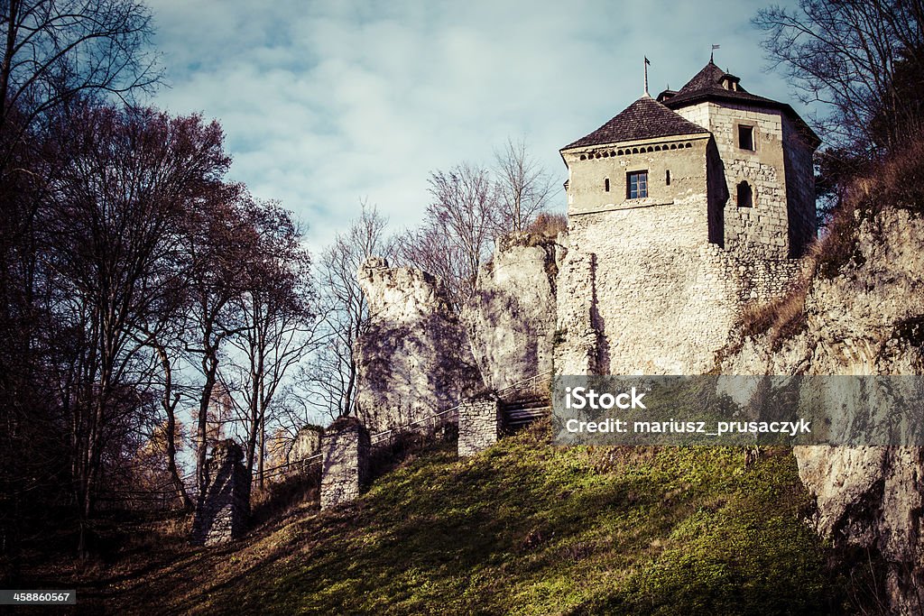Ruines du château du haut d'une colline d'Ojcow, Pologne - Photo de Automne libre de droits