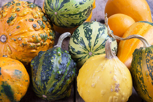 istock Pumpkins on a wooden table , backrounds 458862819