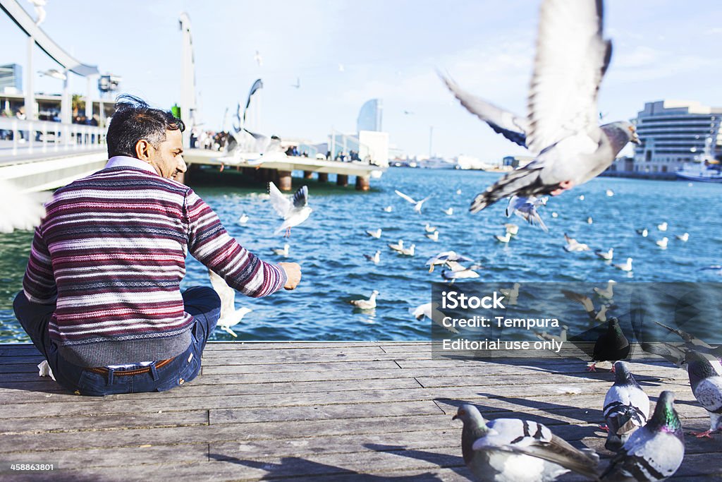 Alimentação pigeons. - Foto de stock de Alimentar royalty-free