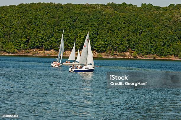 Rursee En El Eifel Alemania Foto de stock y más banco de imágenes de Agua - Agua, Aire libre, Ajardinado