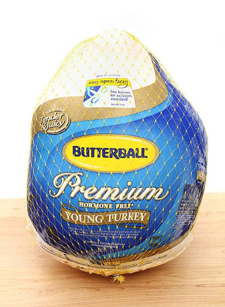 Butterball Turkey West Palm Beach, USA - November 19, 2012: This is a studio product shot of a frozen, Premium, Hormone-Free Butterball turkey in a mesh plastic bag. Butterball turkeys are a popular choice forThanksgiving and Christmas dinners. green winged teal duck stock pictures, royalty-free photos & images