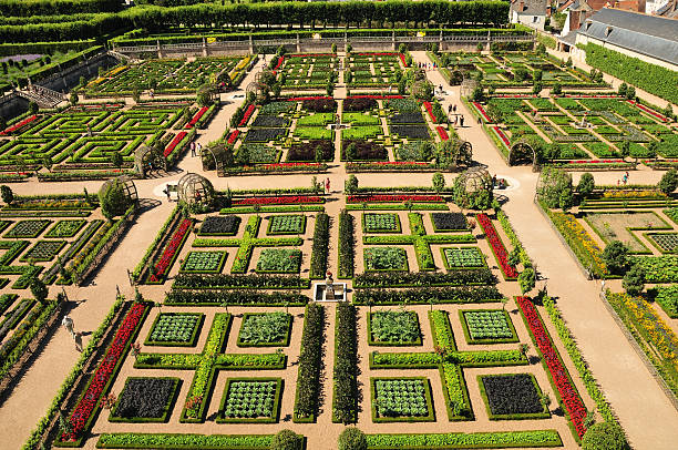 Vegetable Garden at Château de Villandry stock photo