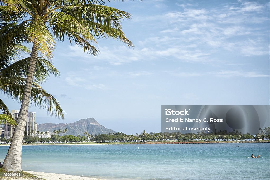 Palmera en la playa de Waikiki y Diamond Head, Honolulu, Hawai - Foto de stock de Islas de Hawái libre de derechos