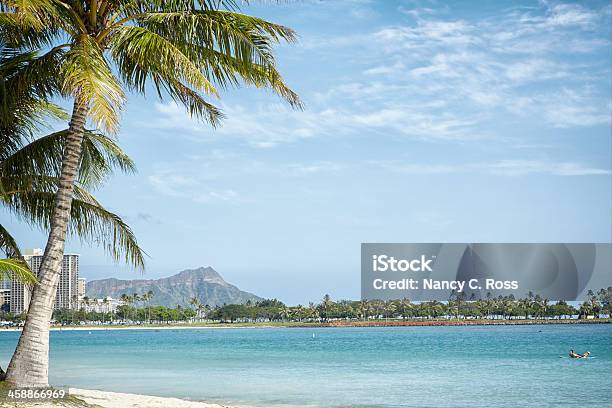 Пляж Вайкики Пальма Diamond Head Гонолулу Гавайи — стоковые фотографии и другие картинки Волна