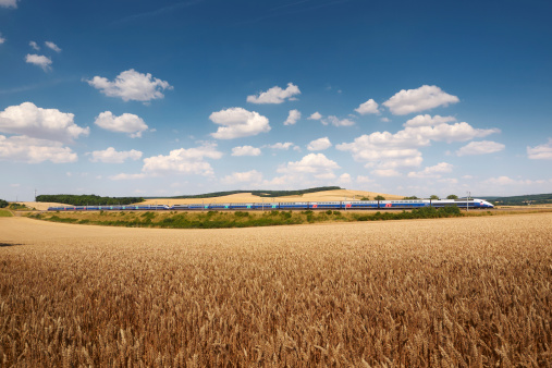Sens, France, July 21, 2013 : A french high speed train TGV passing through a wheat field.
