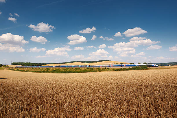 TGV and wheat field stock photo