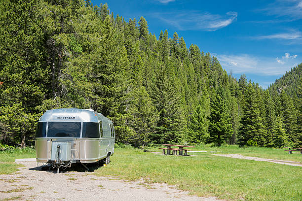 Overgrown, streamlined metal, mobile home is abanded on a backroad in Tennessee.  Doors have round windows.