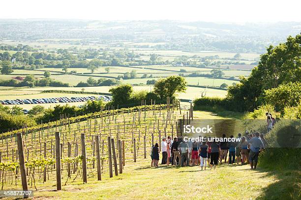 Unirse A Una Excursión Por Vineyard Foto de stock y más banco de imágenes de Viña - Viña, Reino Unido, Vino