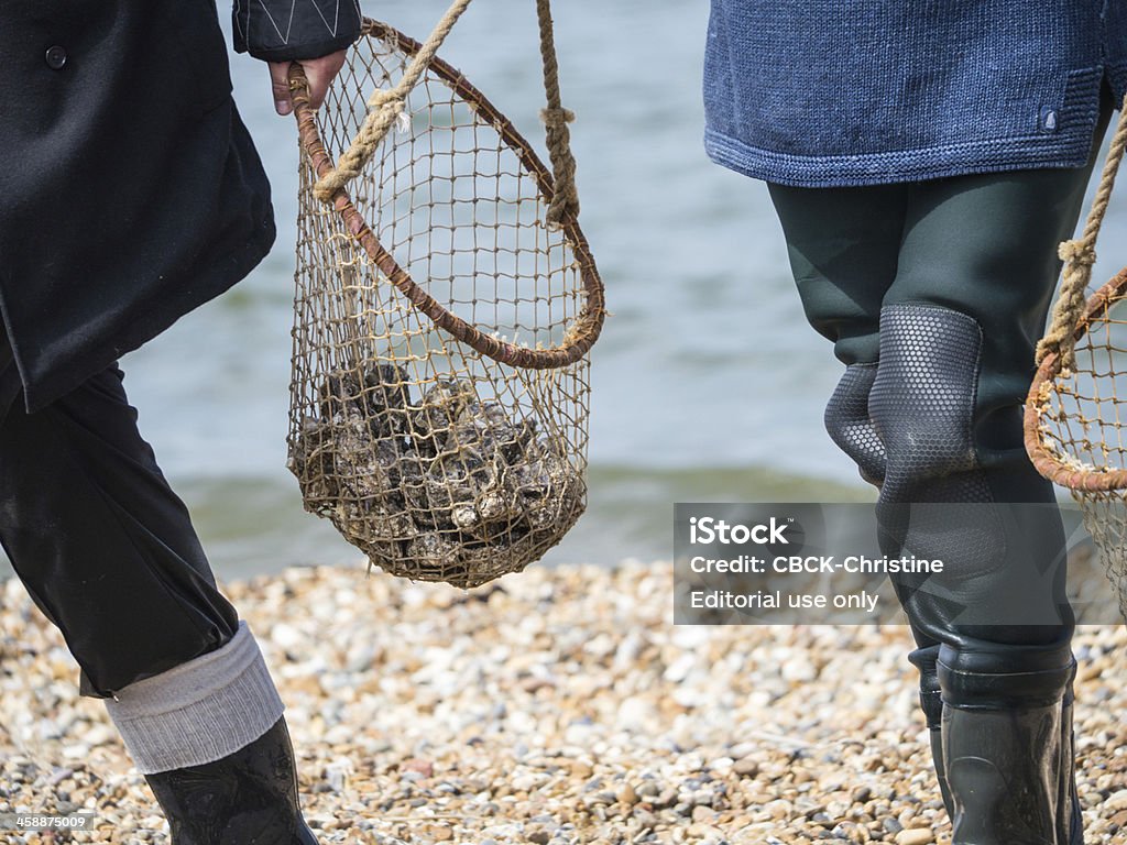 Whitstable Oyster Festival - Foto de stock de Ostra royalty-free