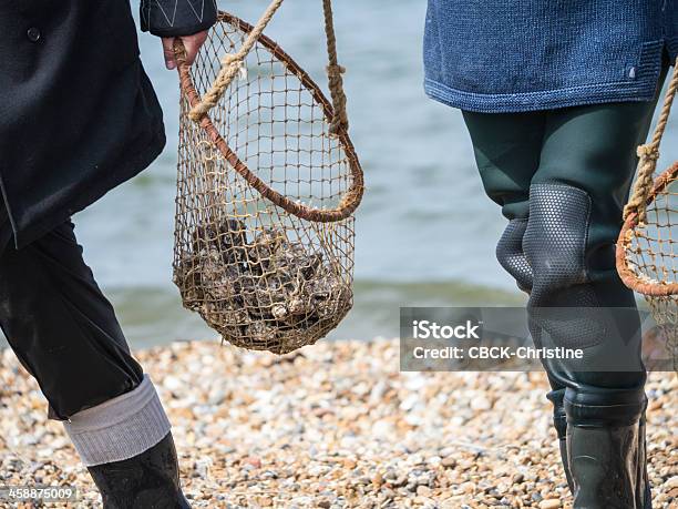 Foto de Whitstable Oyster Festival e mais fotos de stock de Ostra - Ostra, Whitstable, Pescador masculino