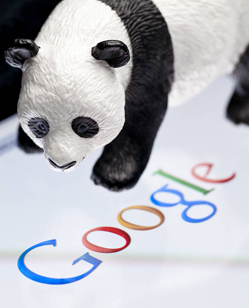 google panda - google panda fotografías e imágenes de stock