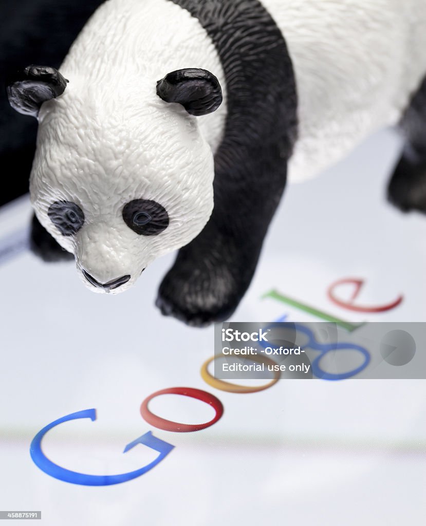 Google Panda - Zbiór zdjęć royalty-free (Aktualizacja - komunikat)