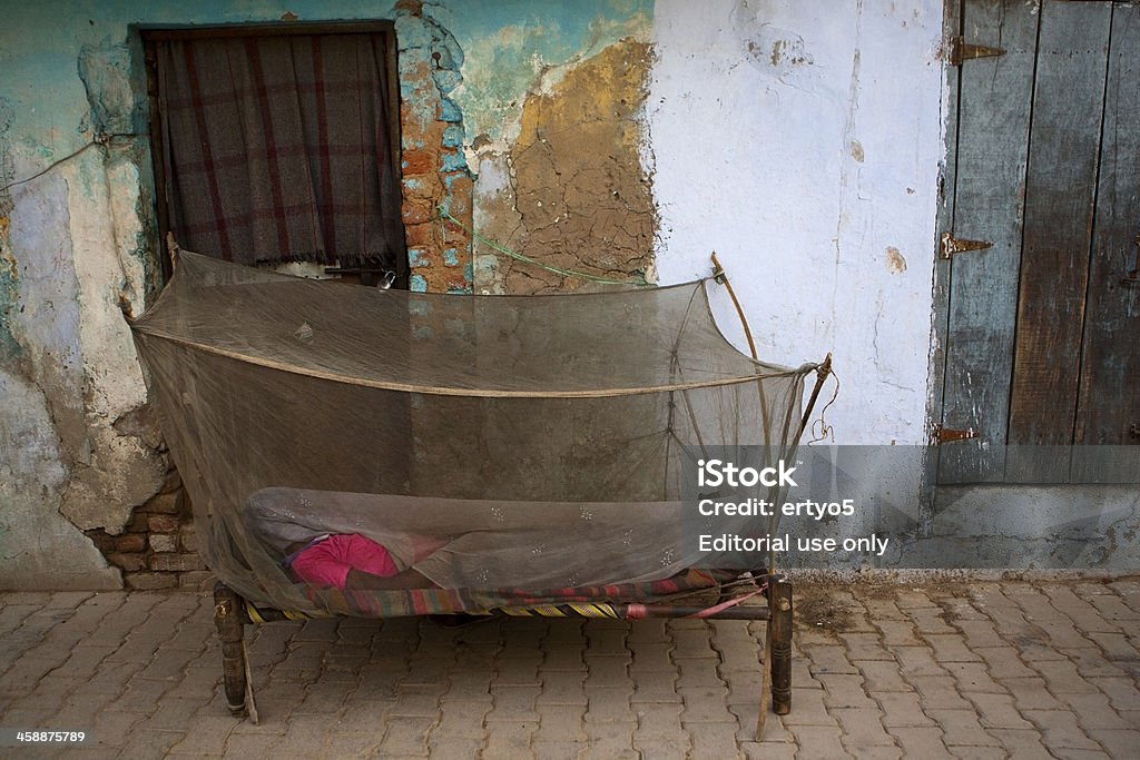 인도어 여성 및 모기 어망 - 로열티 프리 말라리아 스톡 사진