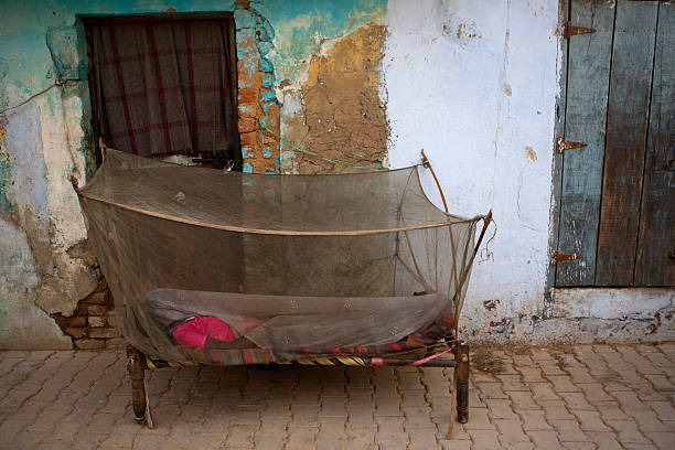 Indian woman and mosquito net New Delhi, India - June 3, 2012: Indian woman sleeps under a mosquito net early in the morning on the street in New Delhi. Mosquito nets are used in India to protect against mosquito's that carry dengue and malaria. mosquito mosquito netting four poster bed bed stock pictures, royalty-free photos & images