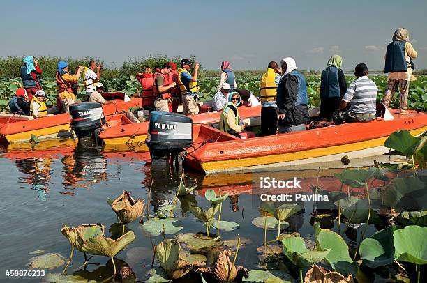 Kaukaski Turystów W Anzali Lagoon Morze Kaspijskie Iran Azji - zdjęcia stockowe i więcej obrazów Morze Kaspijskie