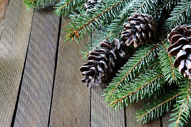 istock twigs and cones covered with artificial snow 458877561