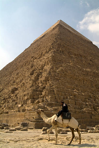camelo e controlador abaixo quéfren de pirâmide de gizé - egypt camel pyramid shape pyramid imagens e fotografias de stock