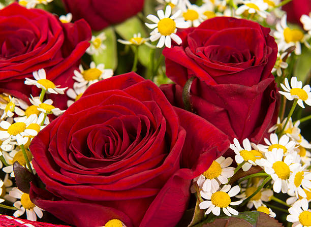 istock Abstract background of flowers 458879771