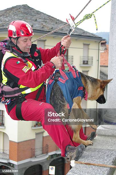 Such Und Rettungshund Stockfoto und mehr Bilder von Hund - Hund, Rettung, Unfall und Katastrophe