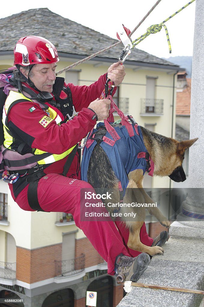 Perro de búsqueda y rescate - Foto de stock de Accidentes y desastres libre de derechos
