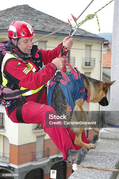 Perro De Búsqueda Y Rescate Foto de stock y más banco de imágenes de Accidentes y desastres - Accidentes y desastres, Perro, Rescate