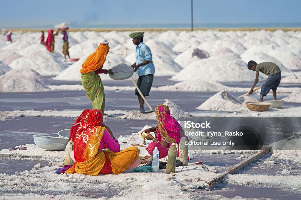 Salt coletando farm, Índia - Foto de stock de Sal - Tempero royalty-free