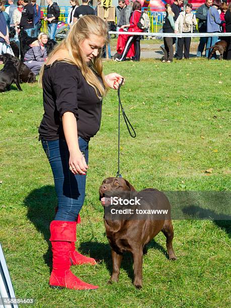 Foto de Regional De Sumy Dog Show e mais fotos de stock de Amizade - Amizade, Animal, Animal Treinado