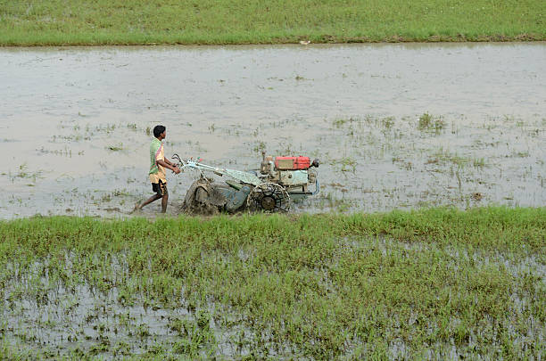 indian agricultor arar arroz campos con tractor de mano - sharecropper fotografías e imágenes de stock