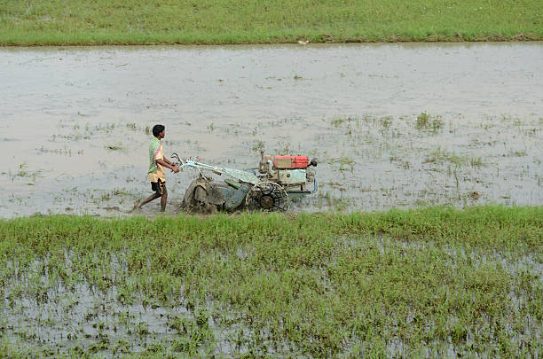 インドの農家耕すライスフィールドにハンドトラクター - sharecropper ストックフォトと画像