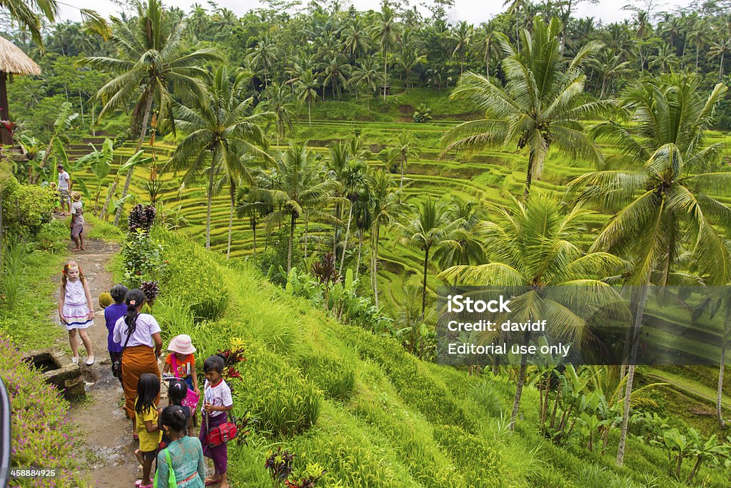 Balinesische Reisfeld Hawkers - Lizenzfrei Bali Stock-Foto