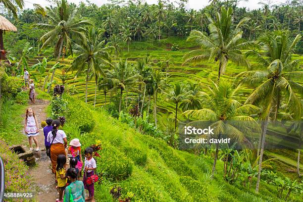 Balinesische Reisfeld Hawkers Stockfoto und mehr Bilder von Bali - Bali, Agrarbetrieb, Anhöhe