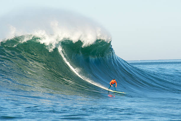 maverick invitational surfing konkurencja - big wave surfing zdjęcia i obrazy z banku zdjęć