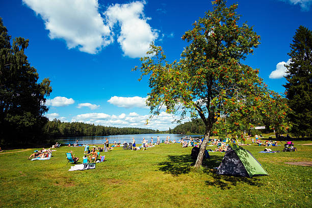 lato w szwecji - sweden summer swimming lake zdjęcia i obrazy z banku zdjęć