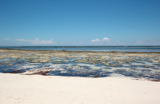 Chale Island, Kenya - March 12th, 2013: During low-tide a fisherman walks at the reef in front of the island.