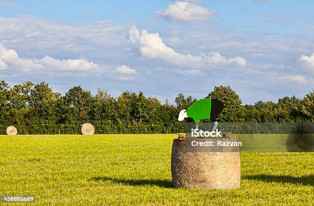 Siano Beli W Le Tour De France - zdjęcia stockowe i więcej obrazów Balot - Balot, Bicykl, Boisko