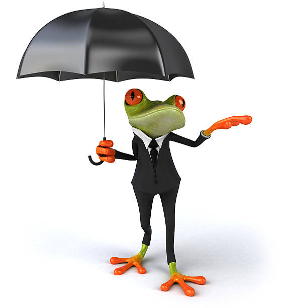 rana business - frog three dimensional shape animal green foto e immagini stock