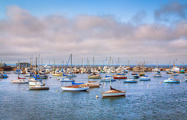 Monterey Bay, California. Monterey, United States - August 9, 2013: Historic Monterey Harbor and Marina is in the Monterey Bay National Marine Sanctuary, the largest Marine Sanctuary in the world. monterey bay stock pictures, royalty-free photos & images