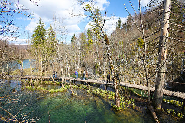 parco nazionale plitvice - plitvice lakes national park water lake national park foto e immagini stock