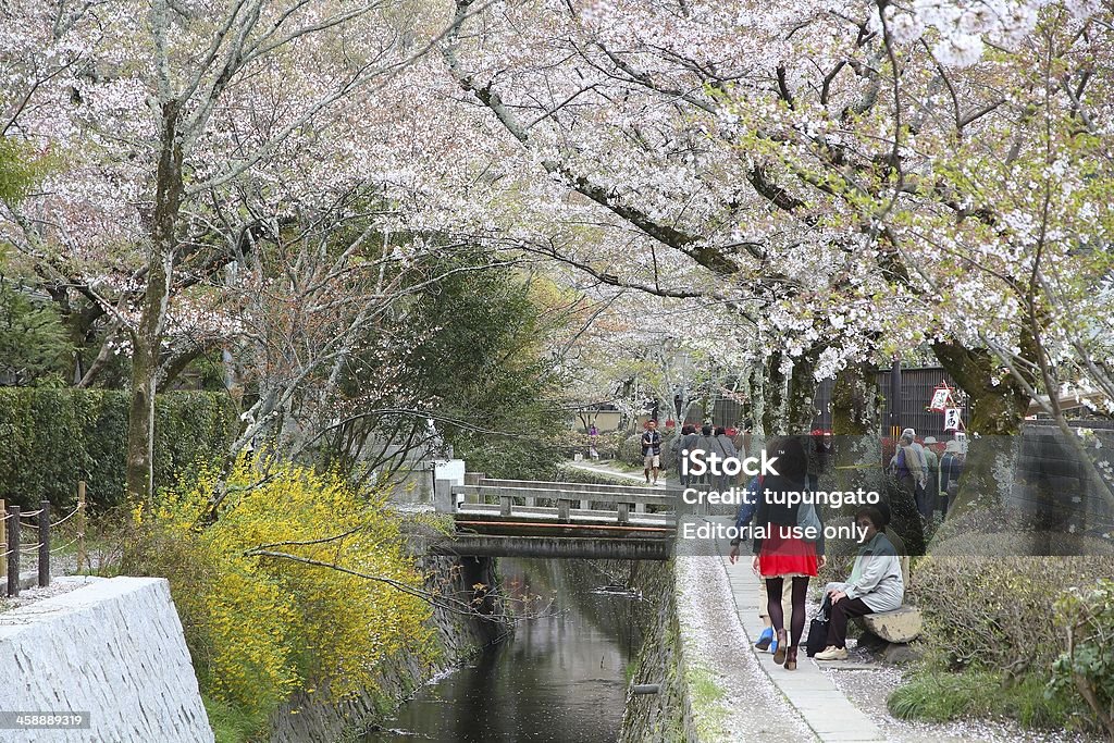 Kyoto - Foto de stock de Cerejeira - Árvore Frutífera royalty-free