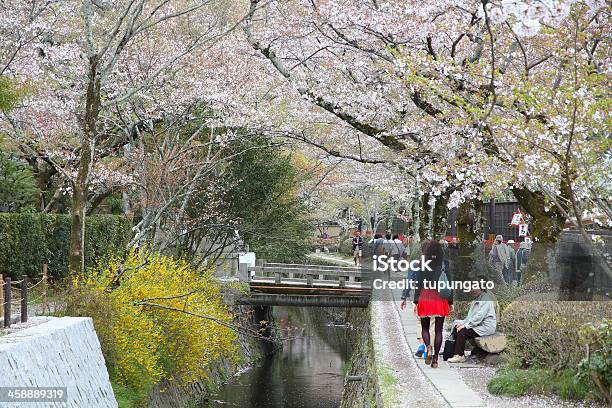 Foto de Kyoto e mais fotos de stock de Cerejeira - Árvore Frutífera - Cerejeira - Árvore Frutífera, Cidade de Quioto, Filósofo