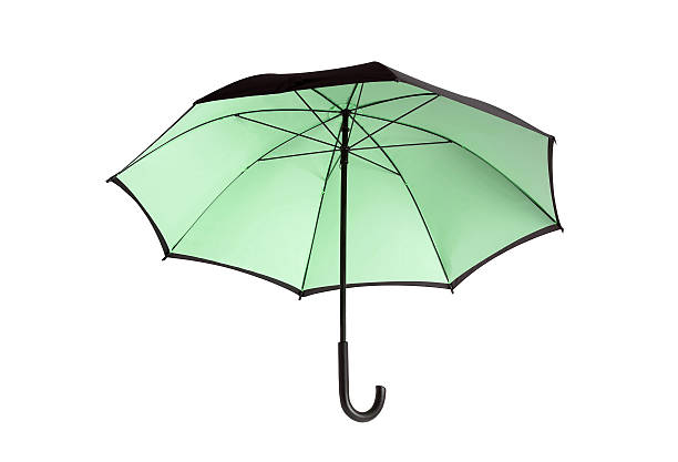 istock Large green umbrella isolated on white background 458890661