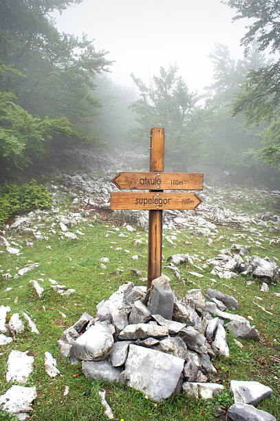 istock wooden signpost in forest 458891133