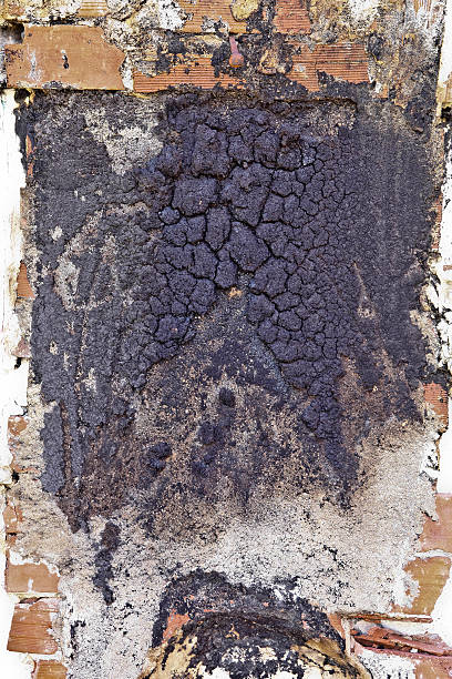 Old Condition Grunge Surface image texture for 3D and CGI computer programs, designers, modelers for Maya, 3Ds Max