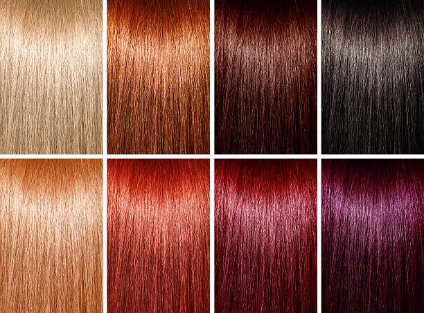 esempio di colori diversi di capelli - colore dei capelli foto e immagini stock